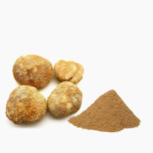 Lions Mane Mushroom Extract Powder 30% Beta Glucan